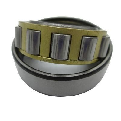 High Quality Cylindrical Roller Bearing N204 NTN NSK