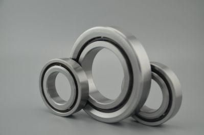 Zys Inch-Style P4a Accuracy Grade Ball Screw Support Bearings 760211tn1/P4GB with Bearing Steel Materials