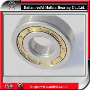 N NU NJ NF NUP NCF NJG SL E series brass cage Cylindrical Roller Bearing NUP319M