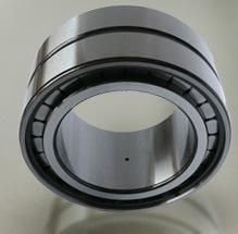 SL1850 Series Double-Row Full Complement Cylindrical Roller Bearings
