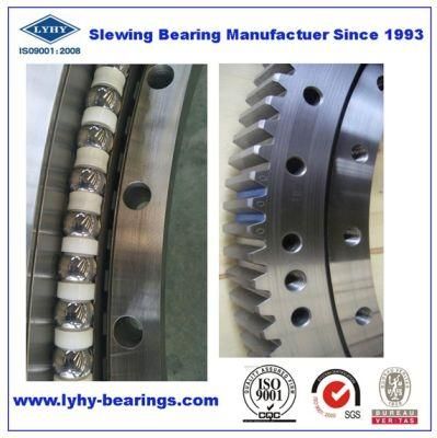 Slewing Beirngs Ring Bearings Slewing Ring Bearings Turntable Bearings SD. 1600.32.00. C