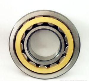 Single Row Full Complement Cylindrical Roller Bearing Nu1009