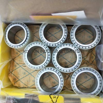 Full Complement Roller Bearings F-218974.01 Full Roller Bearing