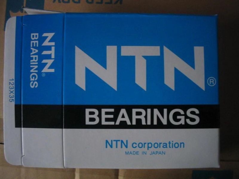 Bearing Manufacturer/Thrust Ball Bearing (51300 series)