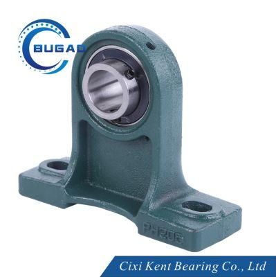 Cixi Bearing OEM Industry Pillow Block Bearing for Packaging Machinery