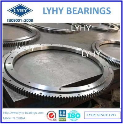 Slewing Bearings with External Teeth Slewing Ring Bearings Turntable Bearings 061.25.1120.000.11.1504