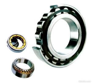 Professional factory manufacture full complement cylindrical roller bearings
