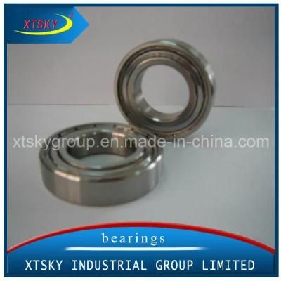 High Quality Deep Groove Ball Bearing (6006 ZZ RS) with Brand