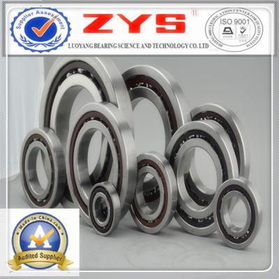 Zys Ceramic Ball Bearing H70 Hs70 Veb70 BNC10
