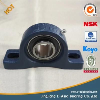 Coupling Ball Screw Sfu1605 with Coupling and Pillow Block Bearing