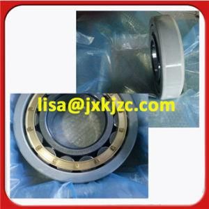 Nu211ecm/C3vl0241 China Electrically Insulated Bearings