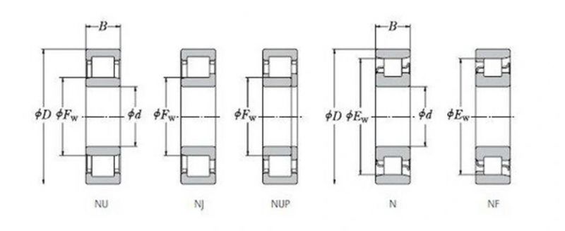 Full Complement Bearing Double/Single Row Cylindrical Roller Bearings