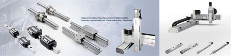 Hsr25 THK Linear Guide Rail for CNC Machine