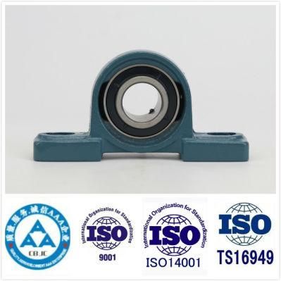 Brazil Cheap Price Pillow Block/Insert/Thrust Ball Bearing UCP /Ucf/UC Series Bearing (P209 UCP209 F209 UCFL209 UC209) Distributor