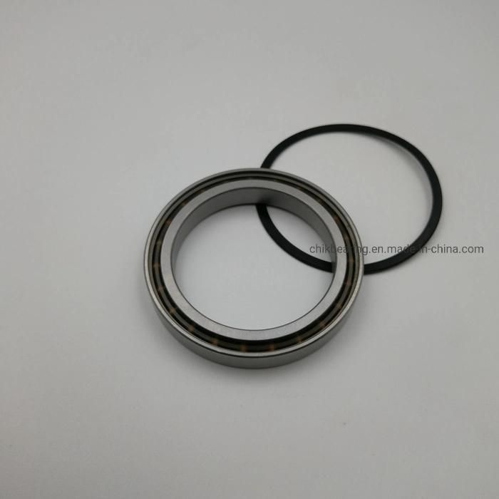 16056m 16072 16076 16080 Zz 2RS Large Diameter Radial Thin Wall Deep Groove Ball Bearing