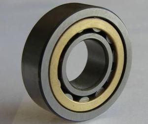 China Factory Made Cylindrical Roller Bearings318