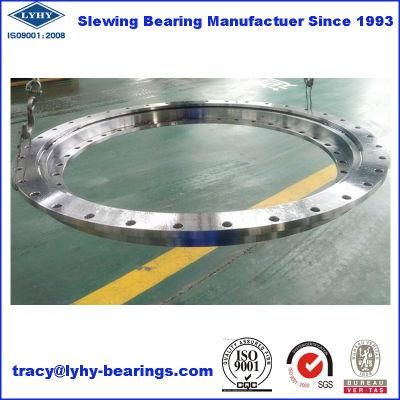 None Gear Flanged Slewing Ring Bearings (230.20.0400.503)