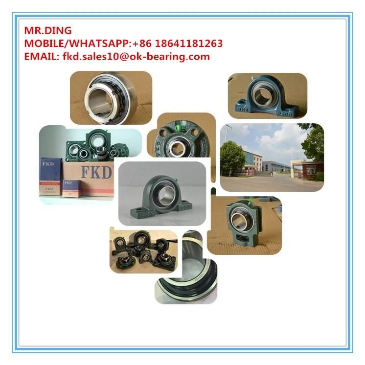 Pillow Block Bearings/Deep Groove Ball Bearings/Auto Bearings/Bearings/Solid Base Pillow Block Bearings (UCP205)