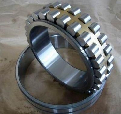 NSK Brass Cage Nn Nu Nnu Cylindrical Roller Bearing Nn3006kw33/P5 Nu1005
