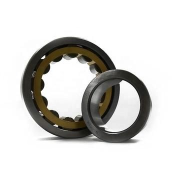 Manufacturer Supply Long Life Cylindrical Roller Bearings