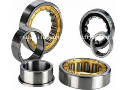 Double Row Cylindrical Roller Bearing Nn3013K