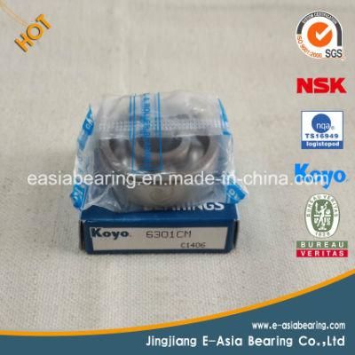 Cylindrical Roller Bearing Koyo