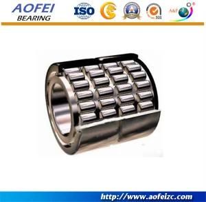 A&F Manufacturer supply four row cylindrical roller bearing