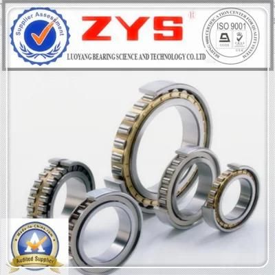 Cylindrical Roller Bearings N1922K with Different Dimensions