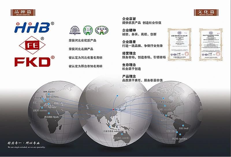 China OEM Service Pillow Block Bearing Housing /UCP/Ucf/UCT/UCFL/UC/Ucfc/Ucpa/SA/Sb/