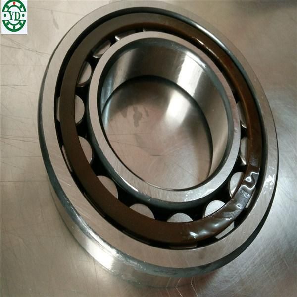 Brass Steel Cage Cylindrical Roller Bearing NSK Nu218ecp Nu218ecm