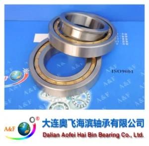 A&F Bearing/ Cylindrical Roller Bearing NJ218M