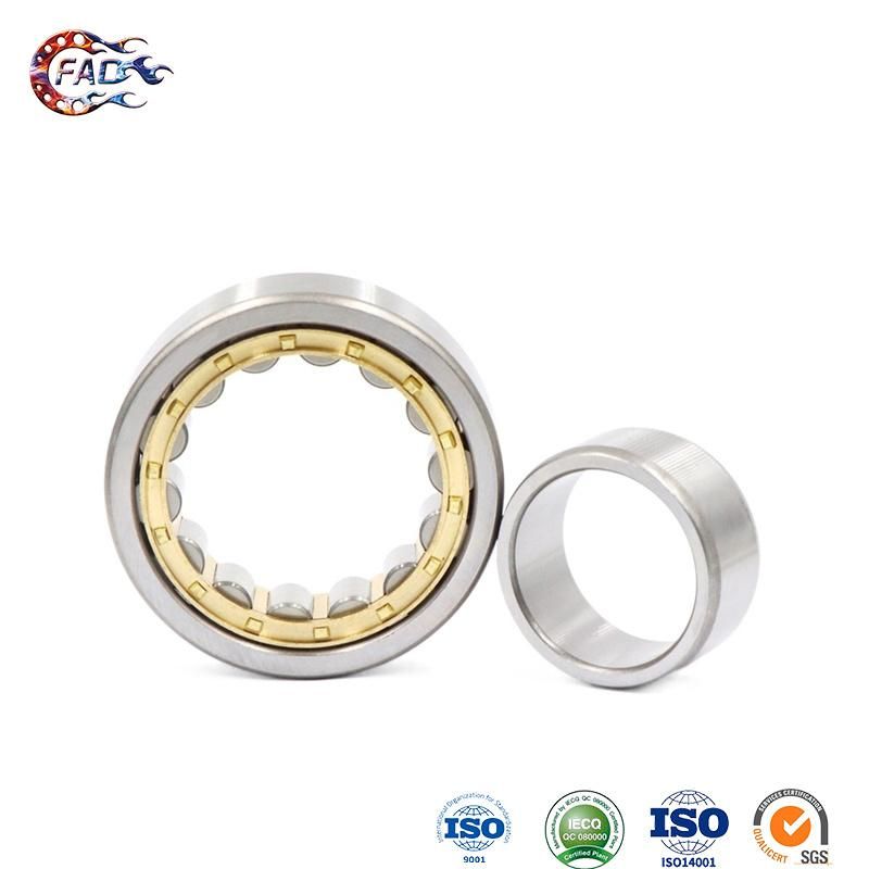 Xinhuo Bearing China Ball Bearing Rollers Product High Temperature Ceramic Bearings N224e N Type Cylindrical Roller Bearing