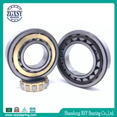 Cylindrical Roller Bearing Nu209m Bearing