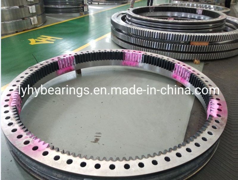 Large Size Bearing Slewing Ring Bearings Ball Bearing Turntable Bearing Gear Bearing (01-3031-00)
