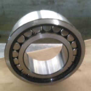 Compact Self-Aligning Roller Bearing, Torb Toroidal Roller Bearing