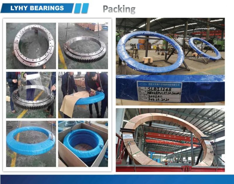 Flanged Precision Slewing Ring Bearing Ebl. 20.0844.201 -2sptn