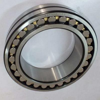 Double Sealed Spherical Roller Bearing BS2-2210-2CS