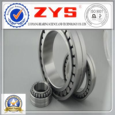 Super Precision Cylindrical Roller Bearing Nnu4880k