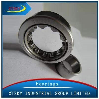 Cylindrical Roller Bearing (NU205)