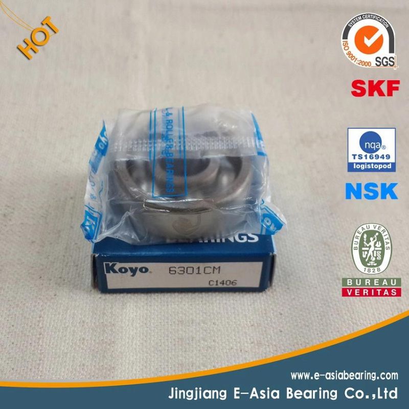 Rolling Element Bearing