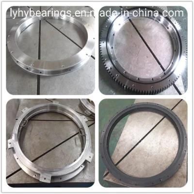 282.30.1075.013 (Type 110/1200.2) Rotary Bearing Swing Bearing Gear Bearing