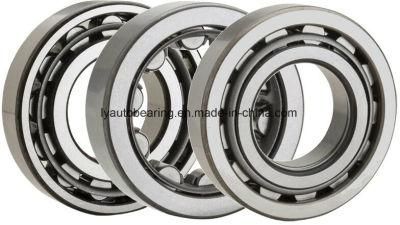Cylindrical Roller Bearing Nn3016