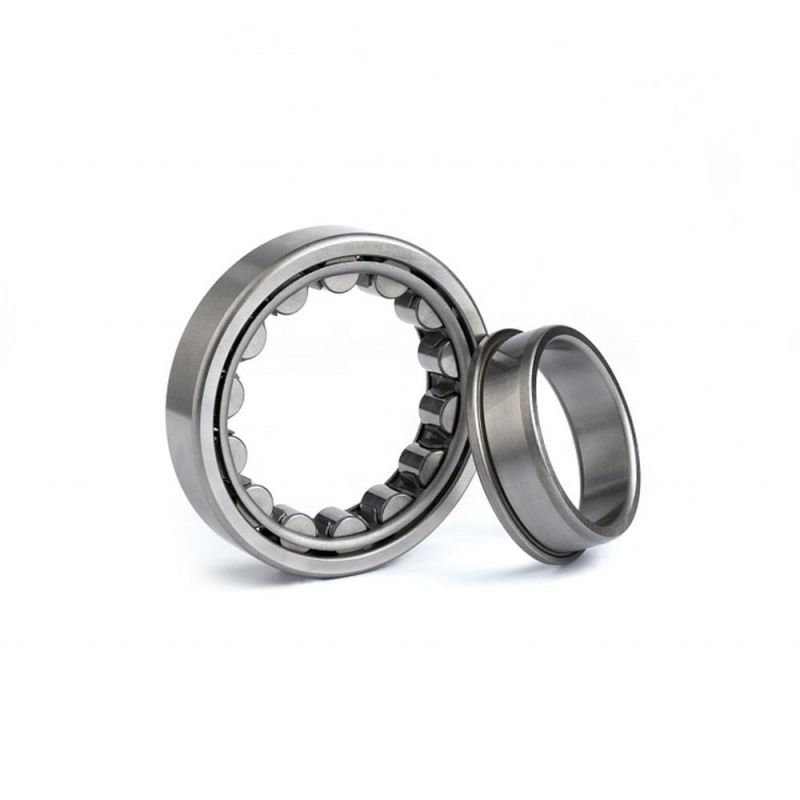 Hot Selling Factory Price 40mm Double Row Cylindrical Roller Bearings