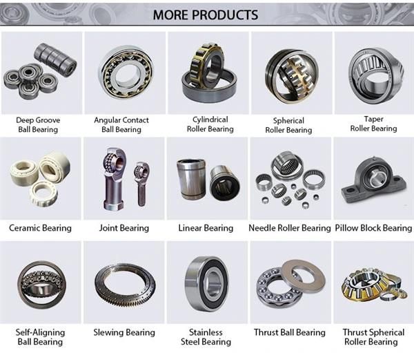 Ge55 Xs/K Chik High Precision High Quality Ge 55 Xs/K Joint Bearing/Radial Spherical Plain Bearing Ge55xs/K