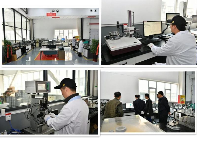 Black Color Pillow Block Insert Ball Bearing with Housing Mounted Sphercial Bearing China Factory