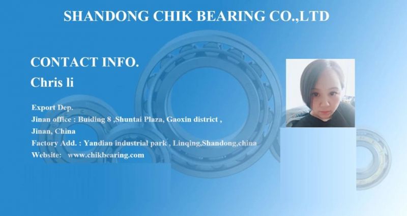 Roller Bearing Factory NSK Hr32214j Hr32307j Tapered Roller Bearing for Assembly Machine