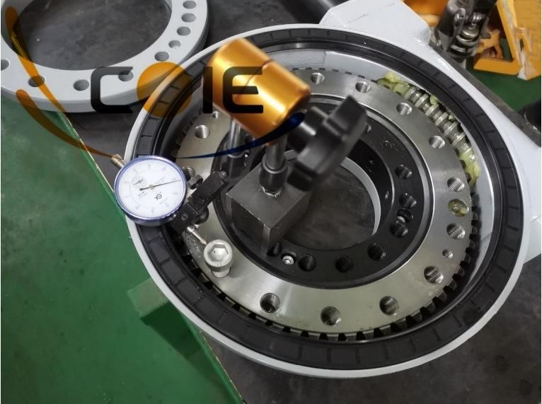 Dual Worm Slewing Drive Turntable Slewing Ring for Mounting Crane