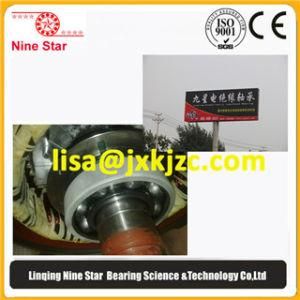 Electrically Insulated Ball Bearing 6317/C3vl0241 Bearing