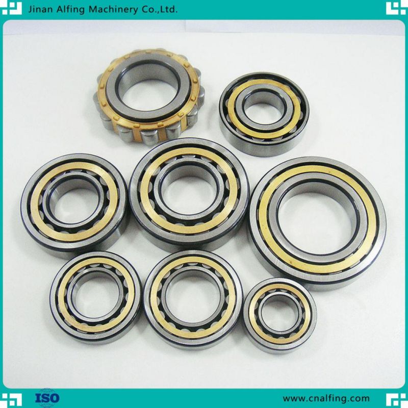 Hot and Cold Processing Program Steel Precision Cylindrical Roller Bearing for Precision Instrument