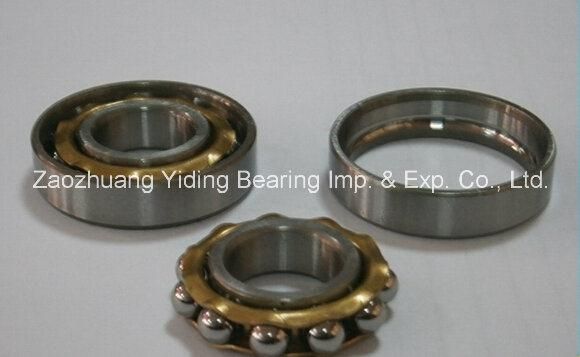 Magneto Ball Bearing NSK L17 E17 B017 E18 Motor Bearing in Stock